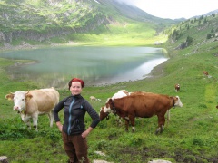 04 ola with cows